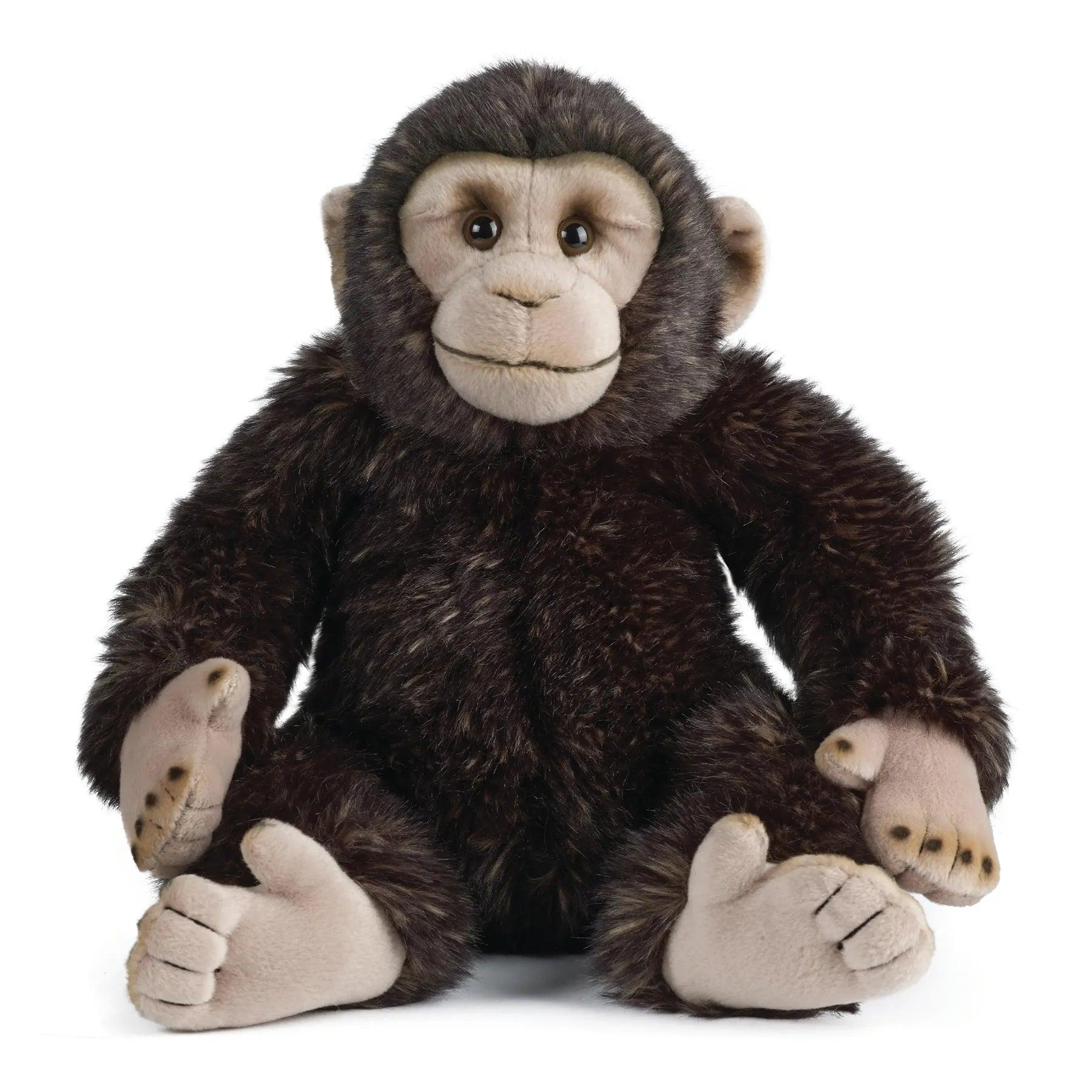 LIVING NATURE AN333 Chimpanzee Monkey 30cm Soft Toy