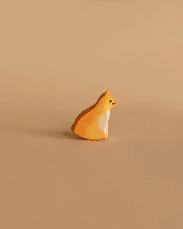 Ostheimer Orange Cat, Sitting